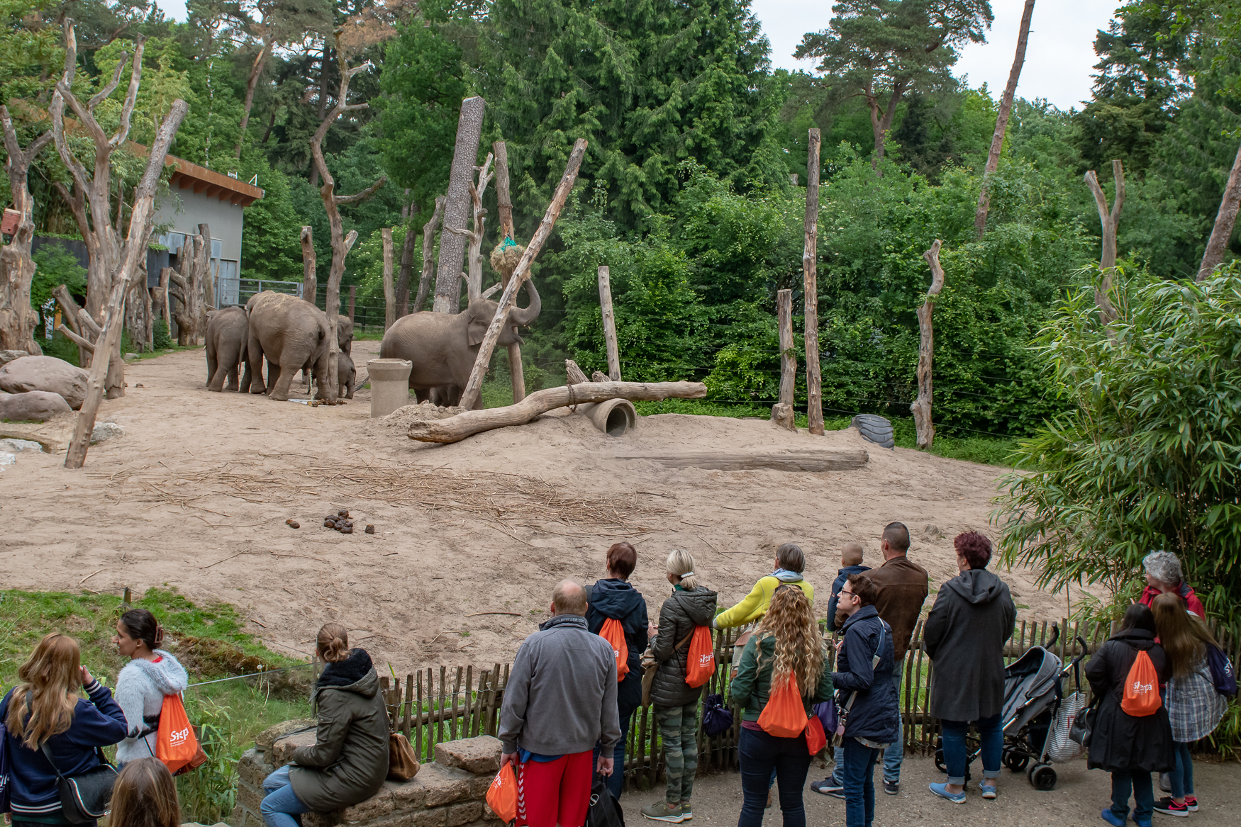 IMPACT 2018 Amersfoort Zoo