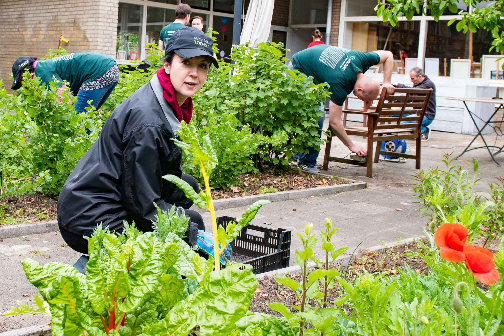 IMPACT 2018 Gardening